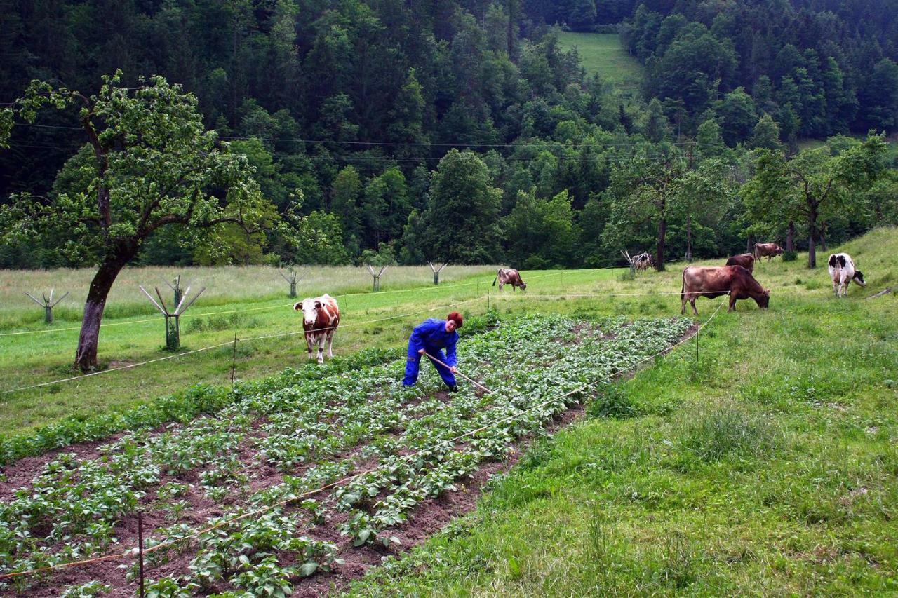 Farm Stay Bukovje 류브노 외부 사진